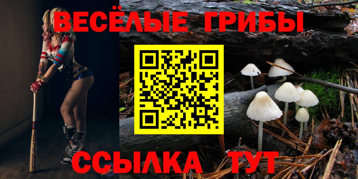 Глазов  Псилоцибиновые грибы мухоморы  Вход с VPN 